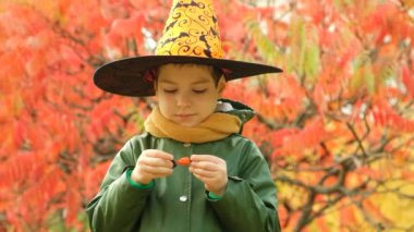 Cadılar Bayramı 'nız kutlu olsun.