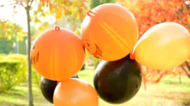 Cadılar Bayramı balonları, sonbahar parkında turuncu ve siyah