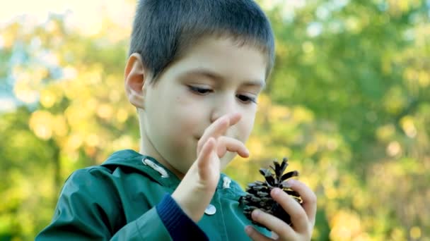Маленький Хлопчик Восени Грає Пінцетом Парку Рахуючи Ваги — стокове відео