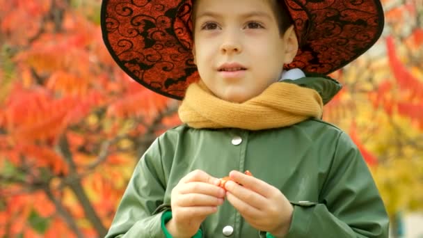 Щасливий Хеллоуїн Маленький Хлопчик Відкриває Цукерки Відкритому Повітрі — стокове відео