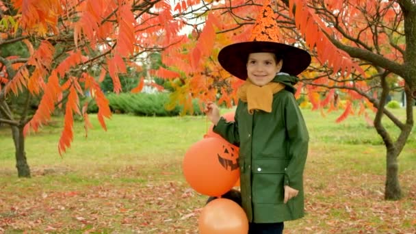 Portret Van Een Jarige Halloween Jongen Met Een Heksenhoed Het — Stockvideo
