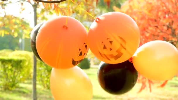 Halloween Kürbisballons Orange Und Schwarz Herbstpark — Stockvideo