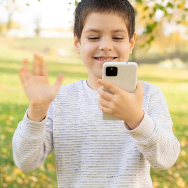 Little boy talking on video call with friends or family in park in autumn, video call.