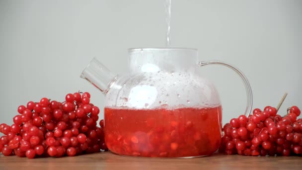 Przygotowanie Herbaty Viburnum Wrzącej Wody Wlanej Szklanego Czajnika Jagodami Viburnum — Wideo stockowe
