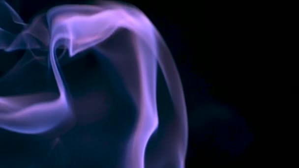 Медленное Движение Видео Съемки Фиолетового Дыма Черном Фоне Абстрактный Фон — стоковое видео