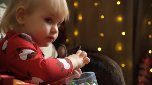 Petite Fille Mangeant Des Chocolats Noël Côté Lapin Animal — Video