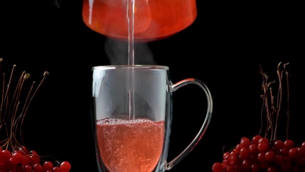 Hot Viburnum Tea Pouring Cup Teapot Black Background Vitamin Berry — Stock Video