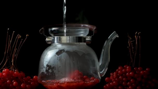Подготовка Чая Вибурнума Кипящей Воды Налитой Стеклянный Чайник Ягодами Вибурнума — стоковое видео