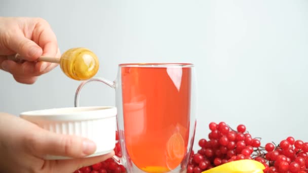 Příprava Vitaminu Berry Viburnum Čaj Medem Med Nalije Šálku — Stock video