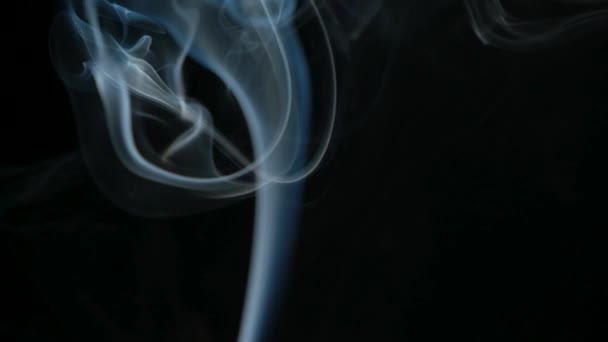 Dym Czarnym Tle Abstrakcyjne Tło Kadzidła Wzorów Fal — Wideo stockowe