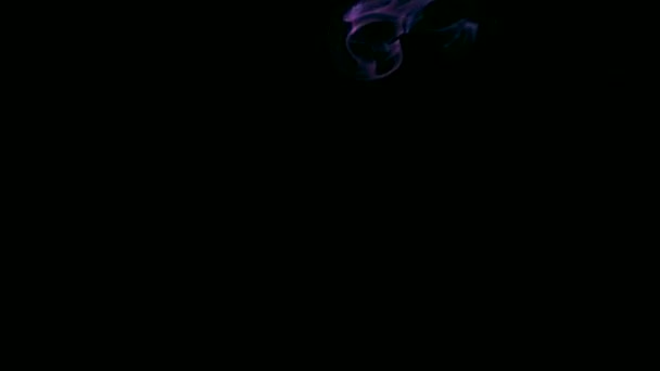 Fialový Kouř Černém Pozadí Abstraktní Pozadí Kadidla Vzorů Vln Svislý — Stock video