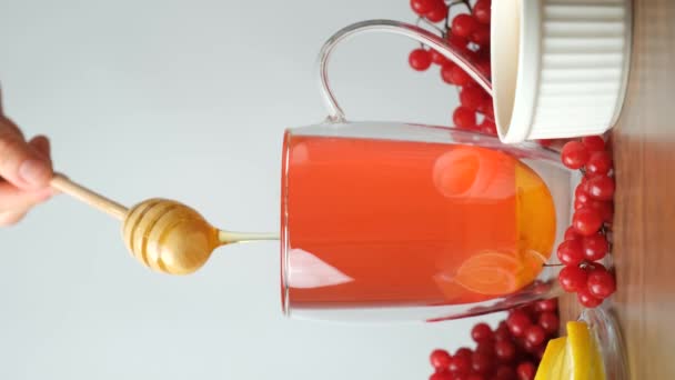 Preparação Chá Viburnum Baga Vitamina Com Mel Mel Derramado Uma — Vídeo de Stock