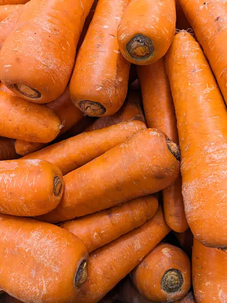 Lots of carrots, top view. Benefits of carrots, washed carrots, vitamin A.