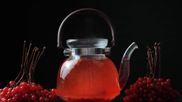 Gorąca Herbata Viburnum Czajniczek Czarnym Tle — Wideo stockowe
