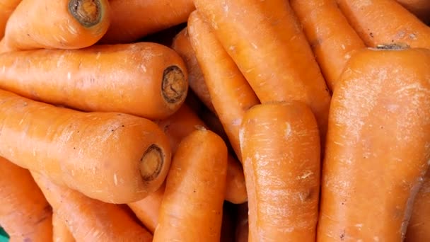 Много Моркови Вид Сверху Преимущества Моркови Мытой Моркови Витамина — стоковое видео