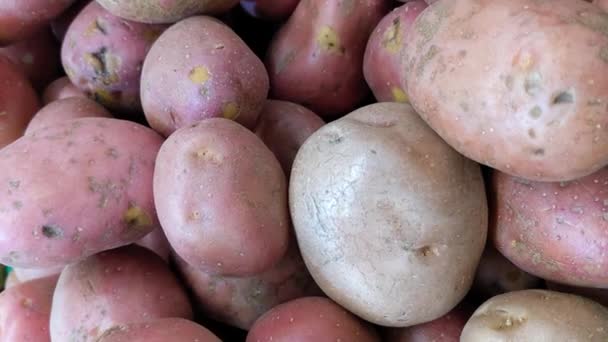 Red Pink Potato Variety Supermarket Top View — Stock Video