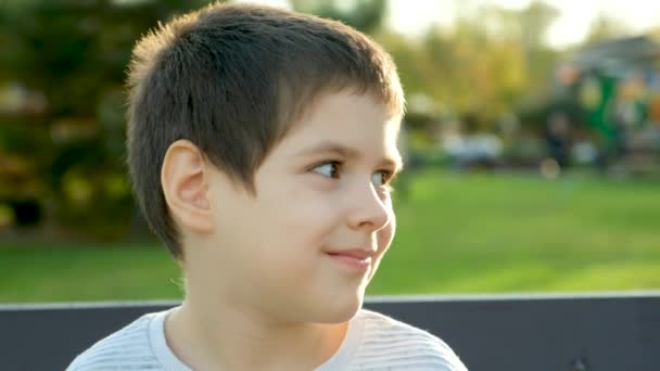 Портрет Улыбающегося Шестилетнего Мальчика Осеннем Парке Счастливого Детства — стоковое видео