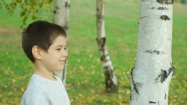 Маленький Ребенок Гладит Дерево Осеннем Парке Заботясь Любя Мир Природу — стоковое видео