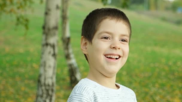 Портрет Счастливого Шестилетнего Мальчика Осеннем Парке — стоковое видео
