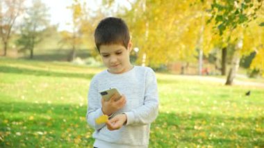 Küçük çocuk, şehir parkında bir sonbahar huş yaprağının akıllı telefon fotoğrafını çekiyor.