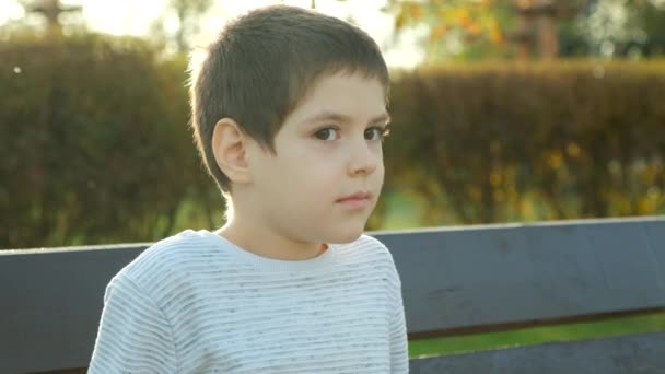 Portrét Usměvavého Šestiletého Chlapce Podzimním Parku Šťastné Dětství — Stock video