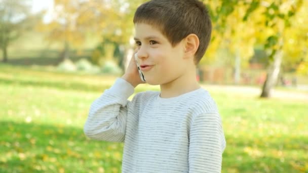 Мальчик Разговаривает Телефону Время Прогулки Парке — стоковое видео