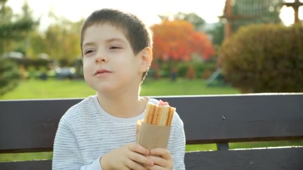 Egy Kisfiú Hot Dogot Eszik Miközben Egy Padon Parkban Utcai — Stock videók