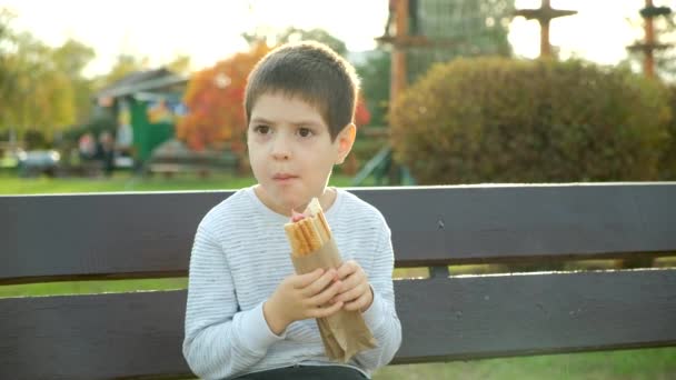 Mały Chłopiec Jedzący Hot Doga Siedząc Ławce Parku Street Fast — Wideo stockowe