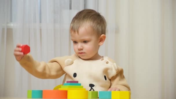 Ein Zweijähriger Junge Spielt Mit Holzspielzeug Logik Und Motorik Entwickeln — Stockvideo