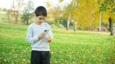 Küçük çocuk, şehir parkında bir sonbahar huş yaprağının akıllı telefon fotoğrafını çekiyor.