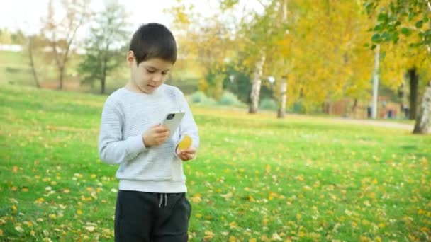 Menino Tirando Uma Foto Smartphone Uma Folha Bétula Outono Parque — Vídeo de Stock