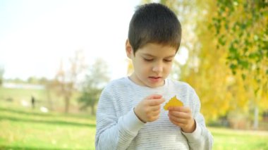 Sonbaharda parkta sarı huş yaprağıyla oynayan altı yaşında bir çocuk.