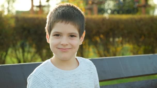 Egy Mosolygó Hatéves Fiú Portréja Egy Őszi Parkban Boldog Gyermekkort — Stock videók