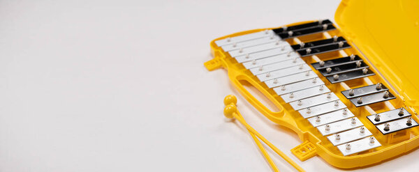 Металлофон, металлический ксилофон, ударный музыкальный инструмент на белом фоне, место для текста.