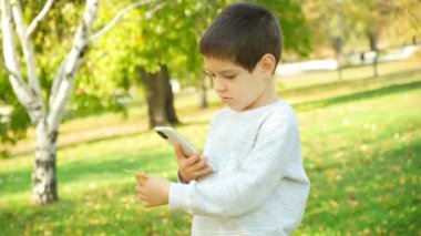 Küçük çocuk, şehir parkında bir sonbahar huş yaprağının akıllı telefon fotoğrafını çekiyor.