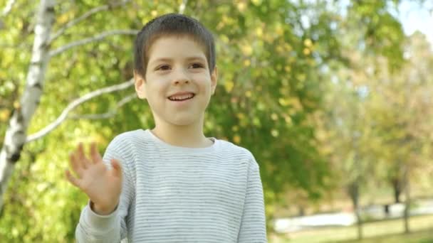 Cute Year Old Boy Waving His Hand While Standing Autumn — Stock Video