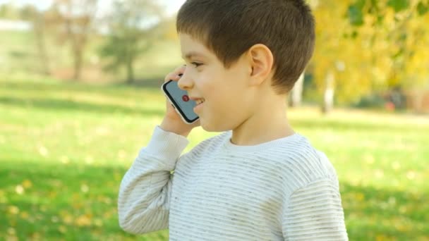 Niño Pequeño Hablando Por Teléfono Mientras Camina Parque — Vídeos de Stock