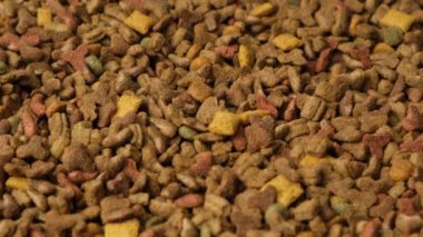 Yavru köpekler için kuru yiyecek. Yaşamlarının ilk yılında köpekler için tam diyet.