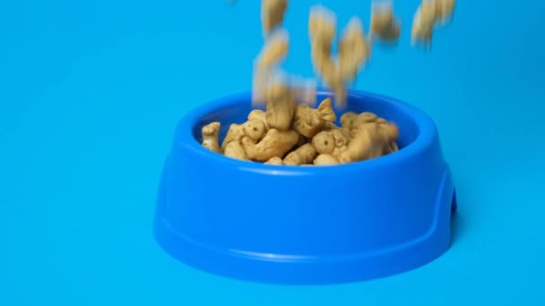鱼的形状与猫食搭配 猫食搭配 猫食搭配蓝背景的碗慢动作 — 图库视频影像