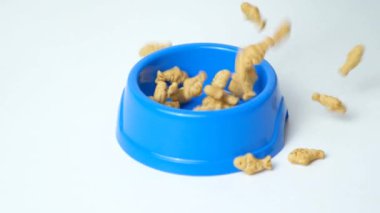 Kediler ve kediler için kedi naneli balık şekilli kurabiyeler beyaz arka planda kaseye dökülüyor