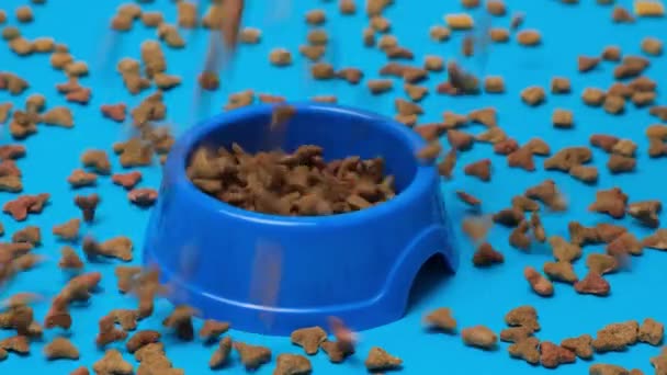 Comida Gato Seco Derramando Uma Tigela Fundo Azul Câmera Lenta — Vídeo de Stock