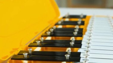 Metalofon, metal ksilofon bir perküsyon müzik enstrümanıdır..