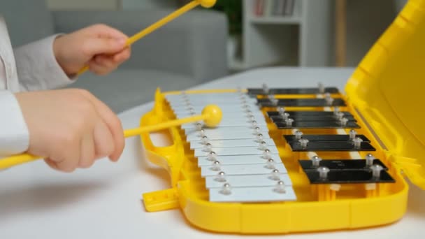 Little Child Playing Metallophone Metal Xylophone Percussion Musical Instrument — Stock Video