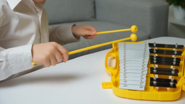 Kis Gyermek Játszik Fémötvözet Fém Xilofon Ütőhangszerek Hangszer — Stock videók