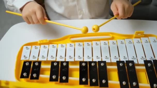 Små Barn Spelar Metallofon Metall Xylofon Slagverk Musikinstrument — Stockvideo