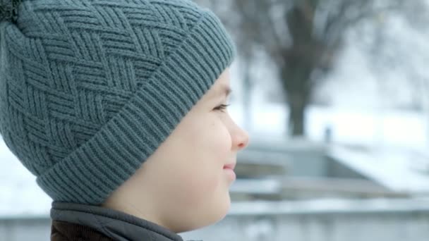 Портрет Маленького Мальчика Шляпе Снежном Парке Отворачивающегося Поворачивающегося Камере — стоковое видео