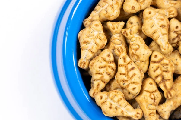 A treat for cats and kittens is a fish-shaped catnip cookie in a blue bowl, copy space for text