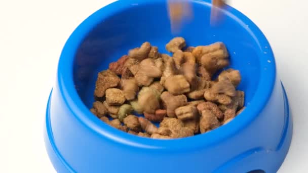 Alimentos Secos Para Animais Estimação Derramando Uma Tigela Fundo Branco — Vídeo de Stock