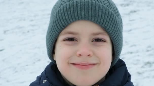 Маленький Шестилетний Мальчик Теплой Шляпе Улыбающийся Время Прогулки Зимнем Парке — стоковое видео