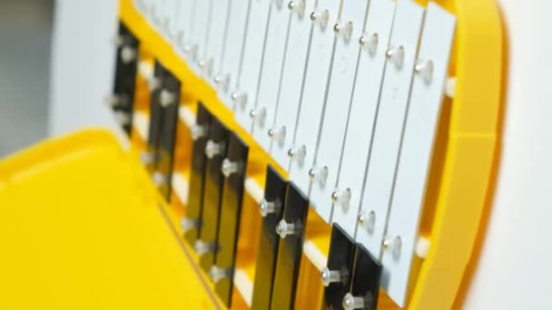 메탈로폰 Xylophone는 타악기 계기입니다 — 비디오